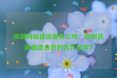 深圳網(wǎng)站建設(shè)服務(wù)公司，如何選擇最適合您的合作伙伴？