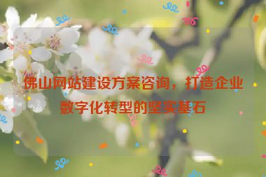 佛山網(wǎng)站建設(shè)方案咨詢，打造企業(yè)數(shù)字化轉(zhuǎn)型的堅(jiān)實(shí)基石
