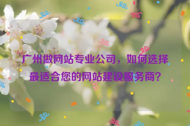 廣州做網(wǎng)站專(zhuān)業(yè)公司，如何選擇最適合您的網(wǎng)站建設(shè)服務(wù)商？