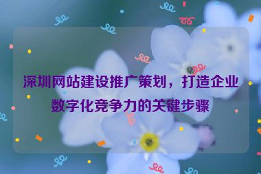 深圳網(wǎng)站建設(shè)推廣策劃，打造企業(yè)數(shù)字化競(jìng)爭(zhēng)力的關(guān)鍵步驟