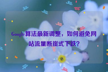 Google算法最新調(diào)整，如何避免網(wǎng)站流量斷崖式下跌？