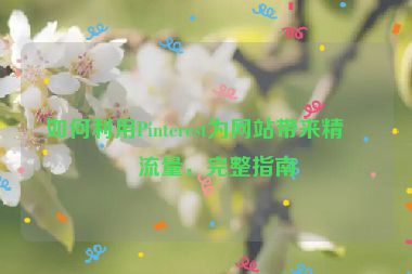 如何利用Pinterest為網(wǎng)站帶來精準(zhǔn)流量，完整指南