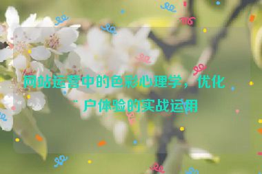 網(wǎng)站運營中的色彩心理學(xué)，優(yōu)化用戶體驗的實戰(zhàn)運用