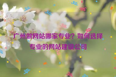 廣州做網(wǎng)站哪家專(zhuān)業(yè)？如何選擇專(zhuān)業(yè)的網(wǎng)站建設(shè)公司