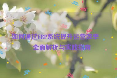 如何通過(guò)ERP系統(tǒng)提升運(yùn)營(yíng)效率，全面解析與實(shí)踐指南