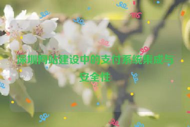 深圳網(wǎng)站建設(shè)中的支付系統(tǒng)集成與安全性