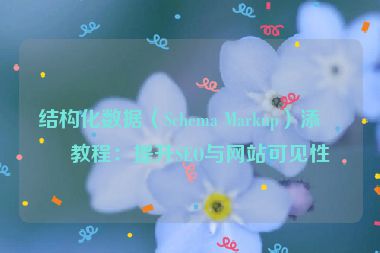 結(jié)構(gòu)化數(shù)據(jù)（Schema Markup）添加教程：提升SEO與網(wǎng)站可見性
