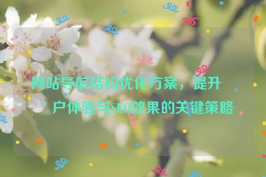 網(wǎng)站導(dǎo)航結(jié)構(gòu)優(yōu)化方案，提升用戶體驗與SEO效果的關(guān)鍵策略