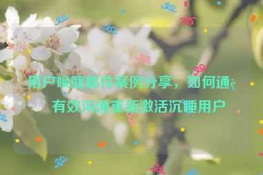 用戶喚醒郵件案例分享，如何通過有效溝通重新激活沉睡用戶