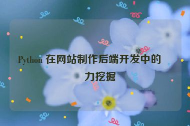 Python 在網(wǎng)站制作后端開發(fā)中的潛力挖掘