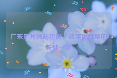 廣東廣州網(wǎng)站建設(shè)，數(shù)字化轉(zhuǎn)型的關(guān)鍵一步