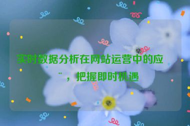 實時數(shù)據(jù)分析在網(wǎng)站運營中的應(yīng)用，把握即時機遇