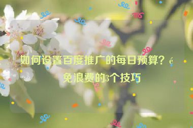 如何設(shè)置百度推廣的每日預(yù)算？避免浪費的3個技巧
