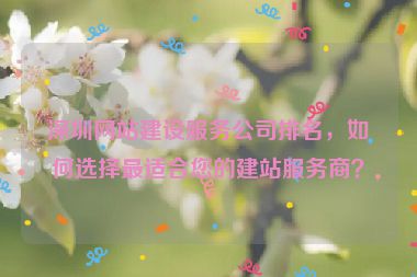 深圳網(wǎng)站建設(shè)服務(wù)公司排名，如何選擇最適合您的建站服務(wù)商？