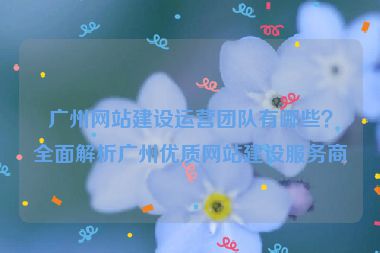 廣州網(wǎng)站建設(shè)運(yùn)營(yíng)團(tuán)隊(duì)有哪些？全面解析廣州優(yōu)質(zhì)網(wǎng)站建設(shè)服務(wù)商
