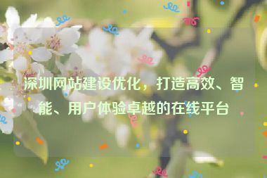 深圳網(wǎng)站建設(shè)優(yōu)化，打造高效、智能、用戶體驗卓越的在線平臺