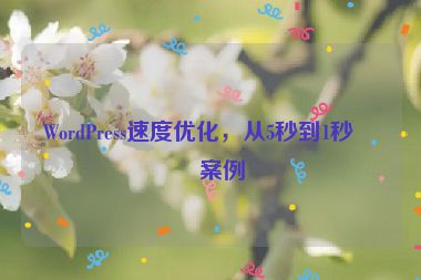 WordPress速度優(yōu)化，從5秒到1秒的案例