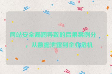 網(wǎng)站安全漏洞導(dǎo)致的后果案例分析，從數(shù)據(jù)泄露到企業(yè)危機