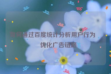 如何通過百度統(tǒng)計分析用戶行為并優(yōu)化廣告鏈路