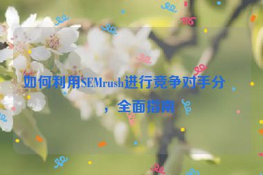 如何利用SEMrush進行競爭對手分析，全面指南