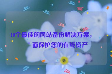 10個最佳的網(wǎng)站備份解決方案，全面保護您的在線資產(chǎn)