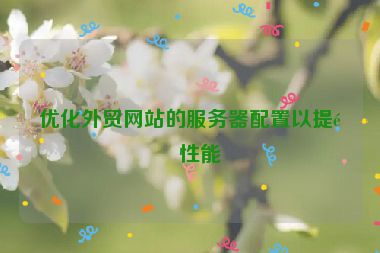 優(yōu)化外貿(mào)網(wǎng)站的服務(wù)器配置以提高性能