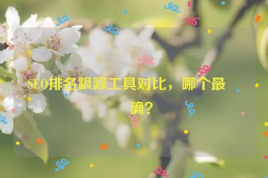 SEO排名跟蹤工具對(duì)比，哪個(gè)最準(zhǔn)確？