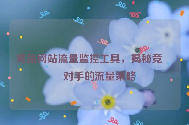 競品網(wǎng)站流量監(jiān)控工具，揭秘競爭對手的流量策略