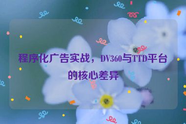程序化廣告實(shí)戰(zhàn)，DV360與TTD平臺(tái)的核心差異