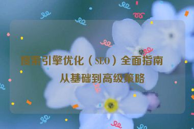 搜索引擎優(yōu)化（SEO）全面指南，從基礎到高級策略