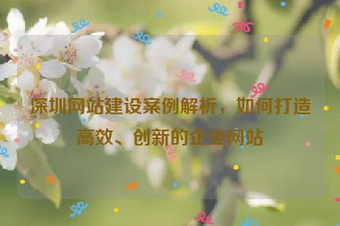 深圳網(wǎng)站建設(shè)案例解析，如何打造高效、創(chuàng)新的企業(yè)網(wǎng)站