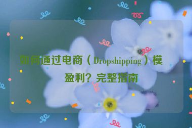 如何通過(guò)電商（Dropshipping）模式盈利？完整指南
