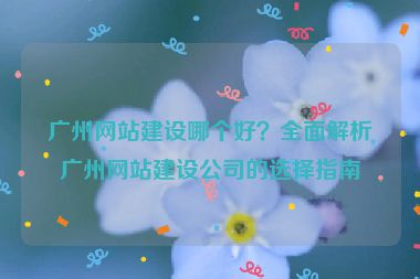 廣州網(wǎng)站建設(shè)哪個好？全面解析廣州網(wǎng)站建設(shè)公司的選擇指南