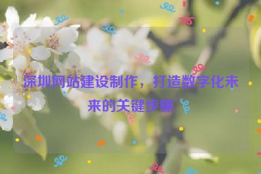 深圳網(wǎng)站建設(shè)制作，打造數(shù)字化未來的關(guān)鍵步驟