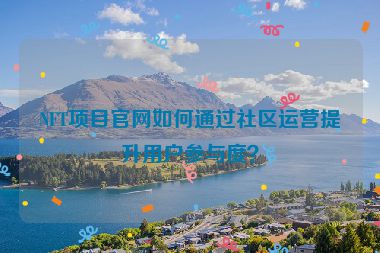 NFT項(xiàng)目官網(wǎng)如何通過(guò)社區(qū)運(yùn)營(yíng)提升用戶(hù)參與度？