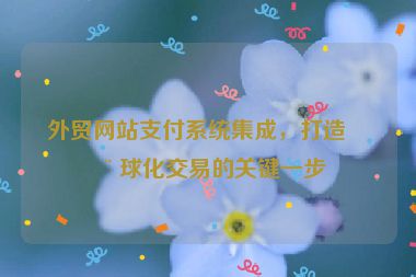 外貿網站支付系統(tǒng)集成，打造全球化交易的關鍵一步