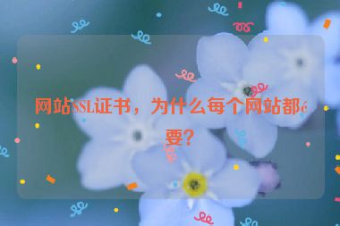 網(wǎng)站SSL證書(shū)，為什么每個(gè)網(wǎng)站都需要？