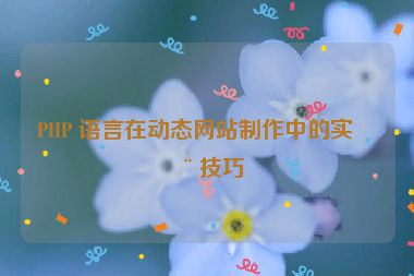 PHP 語言在動態(tài)網(wǎng)站制作中的實(shí)用技巧