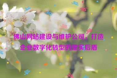 佛山網(wǎng)站建設(shè)與維護(hù)公司，打造企業(yè)數(shù)字化轉(zhuǎn)型的堅(jiān)實(shí)后盾