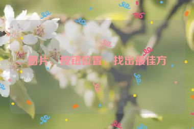 、圖片、按鈕位置，找出最佳方案