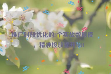 推廣時段優(yōu)化的3個實戰(zhàn)數(shù)據(jù)模型，精準(zhǔn)投放提升ROI