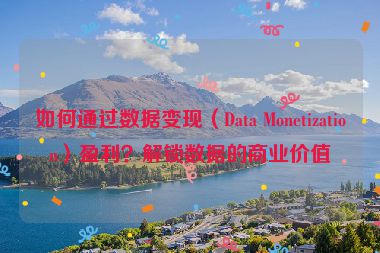 如何通過(guò)數(shù)據(jù)變現(xiàn)（Data Monetization）盈利？解鎖數(shù)據(jù)的商業(yè)價(jià)值