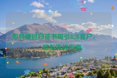 如何通過白皮書吸引B2B客戶，策略與實戰(zhàn)指南