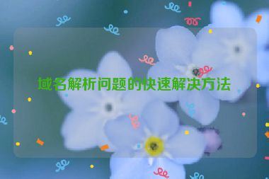 域名解析問題的快速解決方法