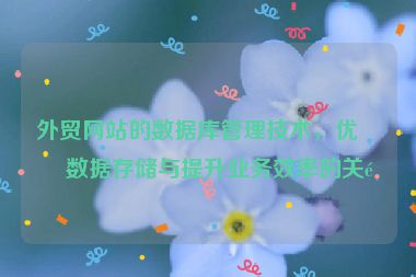 外貿網站的數據庫管理技術，優(yōu)化數據存儲與提升業(yè)務效率的關鍵
