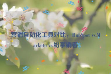 營銷自動化工具對比，HubSpot vs.Marketo vs.紛享銷客