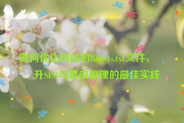如何優(yōu)化網(wǎng)站的Robots.txt文件，提升SEO與爬蟲管理的最佳實踐