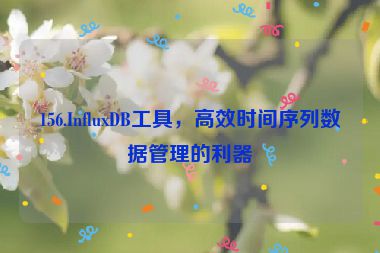 156.InfluxDB工具，高效時間序列數(shù)據(jù)管理的利器