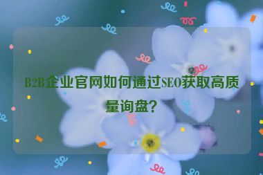 B2B企業(yè)官網(wǎng)如何通過(guò)SEO獲取高質(zhì)量詢盤(pán)？
