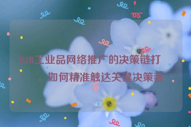 B2B工業(yè)品網(wǎng)絡(luò)推廣的決策鏈打法，如何精準(zhǔn)觸達(dá)關(guān)鍵決策者
